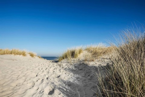 Trail in the dunes and blue sky in winter, Spiekeroog, East Frisian Islands, Lower Saxony, Germany