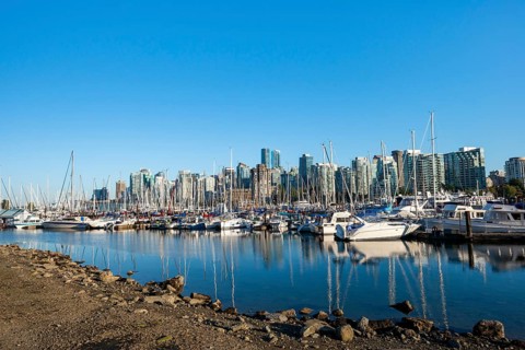 Skyscrapers yachts and sailboats in the marina, Vancouver skyline reflected in the ocean, Coal