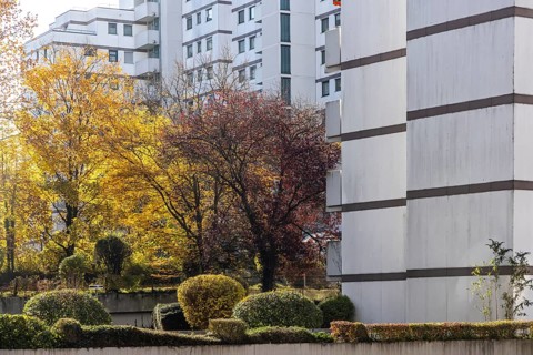 Residential complex in autumn. Colourful shrubs contrast with the dreary façade of the buildings.