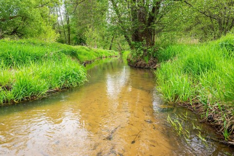 Lanscape of a little stream flowing through the forest in spring on a rainy day, Bavaria, Germany