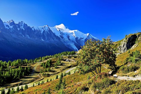Mountain forest in an autumnal landscape with the snow-covered Mont Blanc massif in the background,