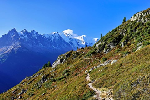Autumnal landscape with snow-covered Mont Blanc massif in the background, Chamonix-Mont-Blanc,