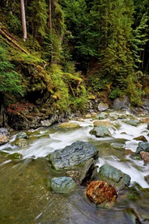 Diosaz mountain river in the gorge, Gorges de la Diosaz, Les Houches, Chamonix-Mont-Blanc,