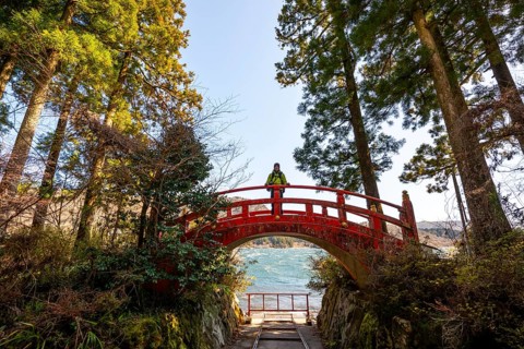 Young man walking on red bridge, path along Lake Ashi to Hakone shrine, Hakone, Japan