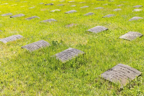 Tombstones on the Gottesacker, the historic cemetery of the Herrnhuter Brüdergemeinde, Herrnhut,