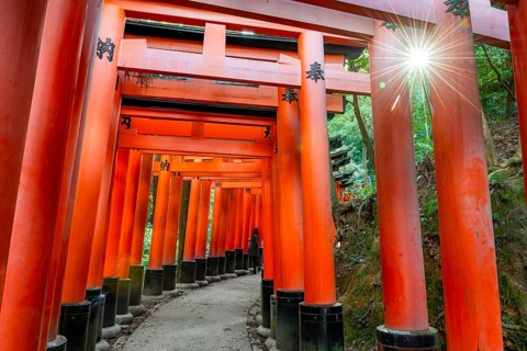 Walk through hundreds of red traditional torii gates, Fushimi Inari Taisha, Shinto Shrine, Sun