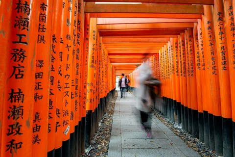 Visitors on a journey through hundreds of red traditional torii gates, Fushimi Inari-taisha, Shinto
