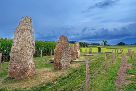 Menhirs, standing stones of conglomerate at Champ de la Longue Pierre in Wéris, Durbuy, province of