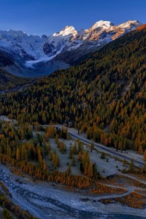 Mountain landscape, larch forest, autumn, autumn discoloration, morning light, aerial view,