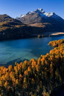 Mountain landscape, mountain lake, larch forest, autumn, autumn color, morning light, sunny, aerial