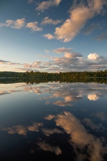 Clouds reflected on the water surface, forest lake, evening mood, at Sunne, Sweden