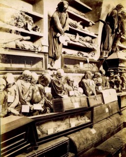 Capuchin Crypt, Le Catacombe dei Cappuccini, extensive crypt complex under the Capuchin monastery