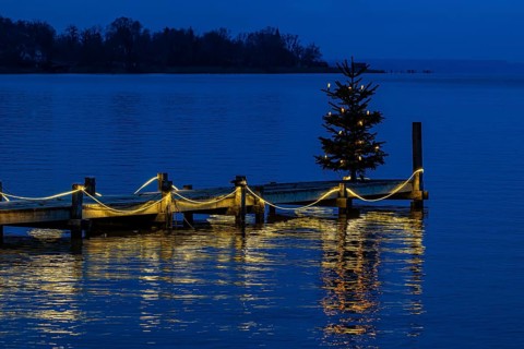 Illuminated Christmas tree at dawn, on an illuminated boat dock, Dießen am Lake Ammer, Upper