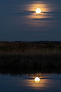 Full moon, super moon over the moor, Emsland, Lower Saxony, Germany