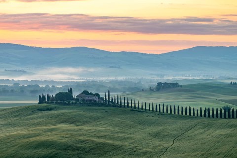 Poggio Covili estate with cypress alley (Cupressus) at sunrise, near San Quirico d'Orcia, Val