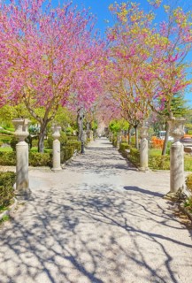 Giardino ibleo, Ragusa Ibla, Ragusa province, Sicily, Italy