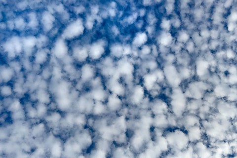 Dense cloudiness of with high white clouds Cirrocumulus Cirrocumulus clouds popularly sheep clouds