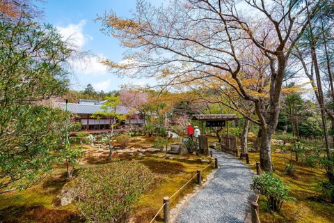 Path in the Japanese garden of Ryoan-ji temple, Zen Buddhist temple complex, in spring, Kyoto,