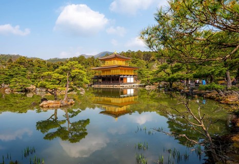 Golden Pavilion reflected in pond, Japanese garden, Golden Pavilion Temple, Kinkaku-ji reliquary,