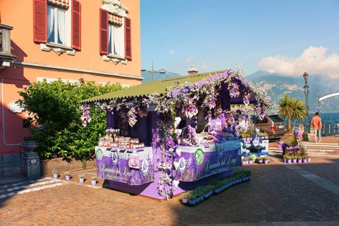 Menaggio, beautiful tourist town on the western shore of Lake Como, market with lavender products,