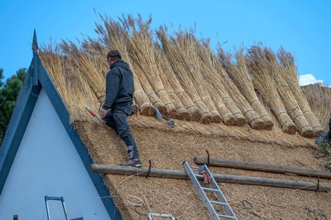 A thatched roof is covered, Wieck a. Darß, Baltic Sea, Mecklenburg-Western Pomerania, Germany