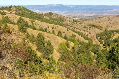 Countryside landscape view from Puerto de Sos hills south of Sos del Rey Catolico, Cinco Villas
