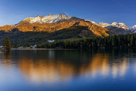 Mountains are reflected in lake, evening light, larch, autumn, autumn color, Lake Sils, Engadin,