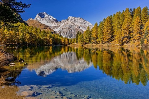 Mountain lake, reflection, mountains, larch forest, autumn discoloration, autumn, sunny, Lake