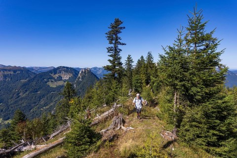 Hikers on the way to Rettenkogel, Postalm, Osterhorn Group, Salzkammergut, Province of Salzburg,