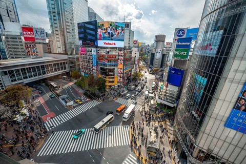Modern houses with colorful neon signs and large road intersection, Shibuya Crossing from above,