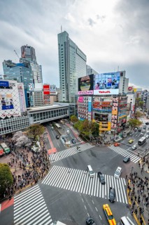 Modern houses with colorful neon signs and large road intersection, Shibuya Crossing from above,