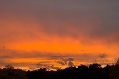 Fiery red evening sky with gray Cumulus fractus clouds above forest edge, Nimbostratus above,
