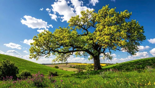 A serene landscape featuring a large tree by a stream at sunset with vibrant green grass and