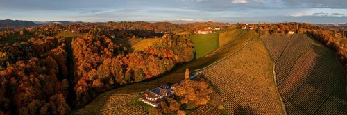 Panorama, aerial view, typical landscape in autumn with vineyards, South Styrian hills, South