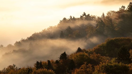 Sunrise, typical landscape in autumn with vineyards and fog, South Styrian hills, South Styrian
