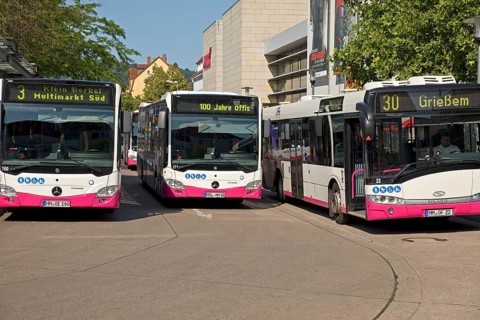 Many buses at the bus station, public transport in Hameln-Pyrmont, public transport Hameln-Pyrmont,