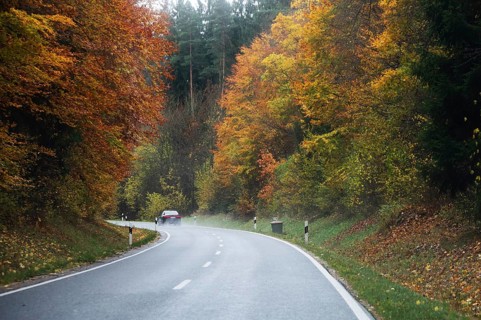 Mixed forest in autumn colors in Franconia on the B2 Nuremberg-Bayreuth, Upper Franconia, Bavaria,