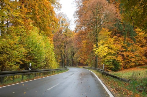 Mixed forest in autumn colors in Franconia on the B2 Nuremberg-Bayreuth, Upper Franconia, Bavaria,