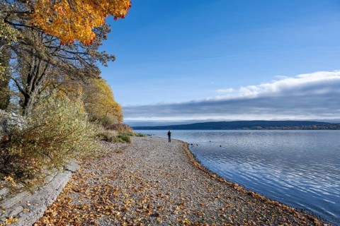Gravel shore, pebble beach, Lake Constance shore at Mettnaupark near Radolfzell am Lake Constance,