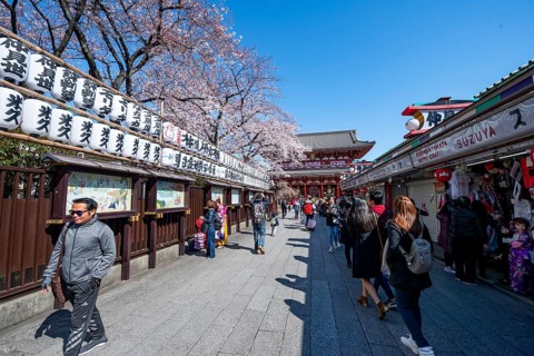 Nakamise-dori shopping street with lanterns, Hozomon Gate of Asakusa Shrine or Senso-ji Temple,