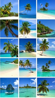Collage of tropical islands with beach and palm trees, paradise with blue cloudy sky, turquoise