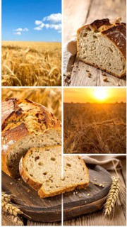 Collage of rustic loaf of whole grain bread, bread on dark rustic wooden table, great variety of