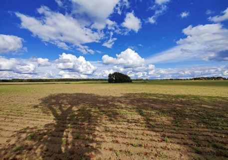 Cultural landscape, Sonnenberg municipality, Oberhavel district, Brandenburg, Germany