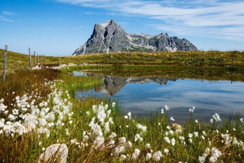 Mountain landscape and picturesque little lake, Saloberkopf, Widderstein, Warth, Bregenzerwald,