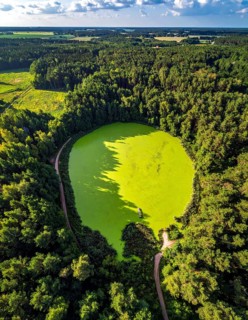 Green algae on the lake. Aerial view of nature, landscape with hills and forest in summer, cloudy