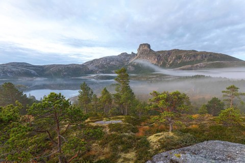 Magical morning fog on Steigtindvatnet in front of the majestic Steigtinden in Norway near Bodø