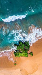 Green algae on the sandy shore of an ocean. Fascinating phenomenon of wild coastline with green