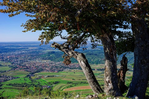 Picturesque scenery on the eaves of the Swabian Jura near Olgafels on Rossfeld in Metzingen-Glems,