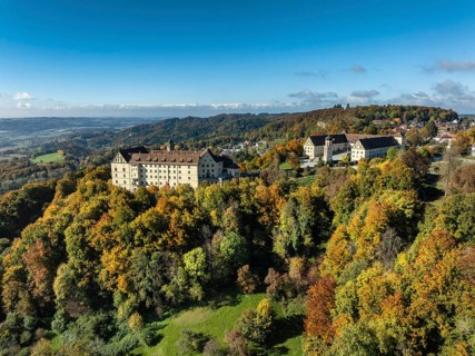 Aerial view of Heiligenberg Castle, a Renaissance-style palace complex, Tübingen administrative
