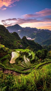 Early morning light bathes Philippines rice terraces cascading down mountain slopes, beautiful